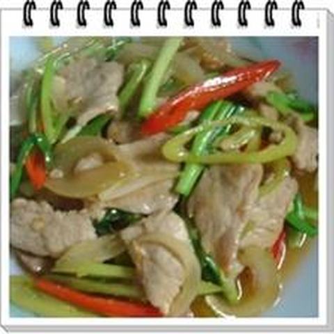 Fried Chicken / Pork Ginger