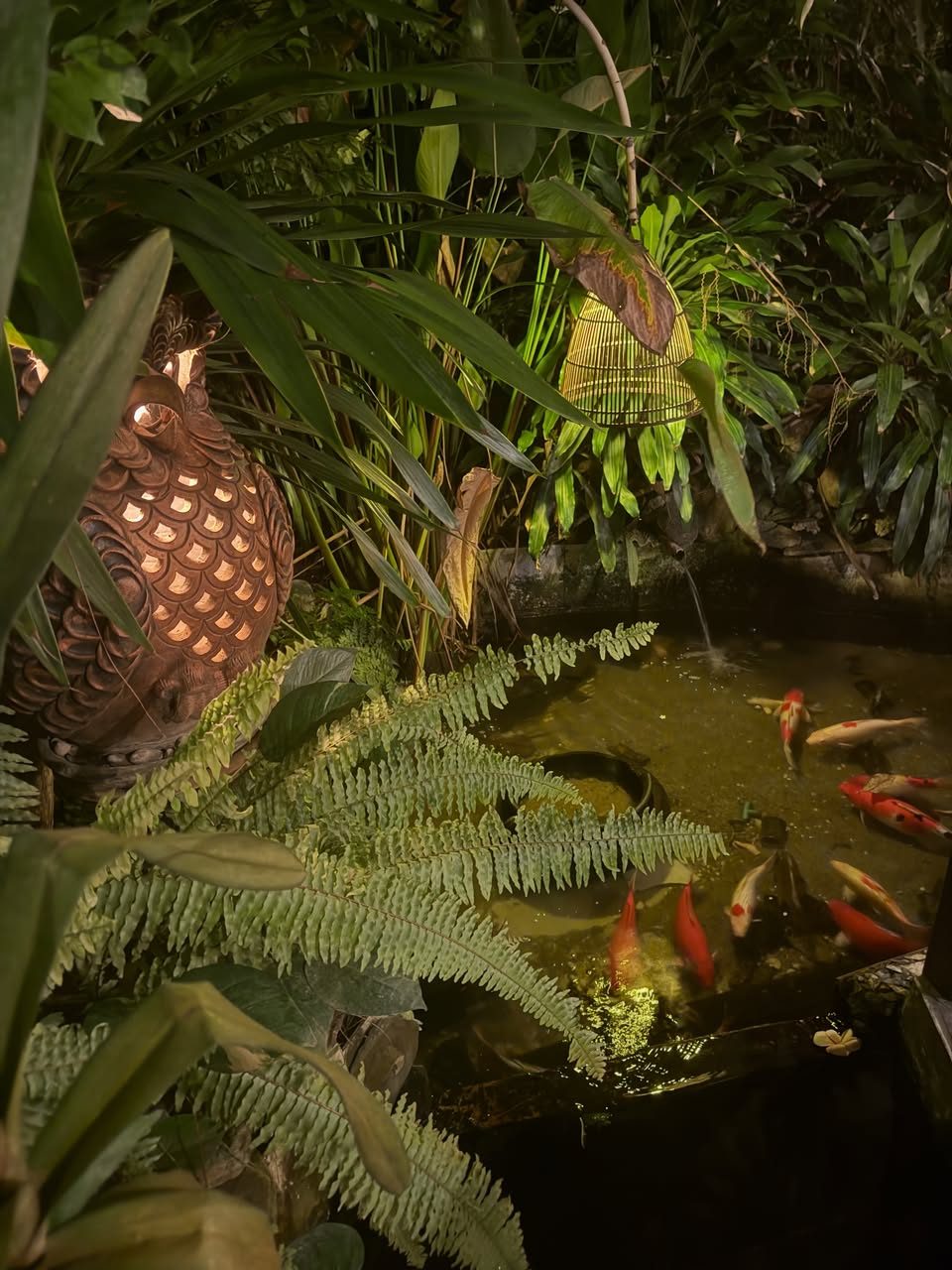 The koi pond, lit after sunset.